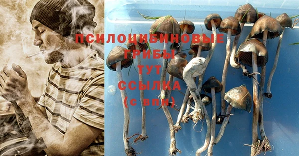 гашишное масло Абаза
