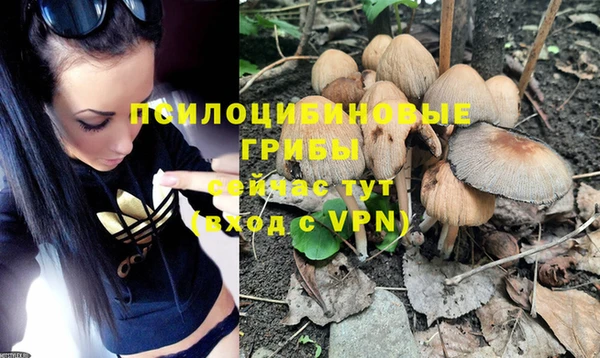 a pvp Ростов
