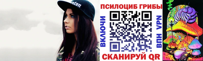 mega ONION Мегион Псилоцибиновые грибы прущие грибы как найти