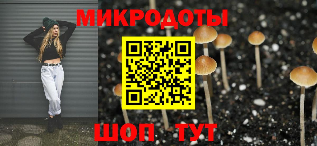 Псилоцибиновые грибы Cubensis Мегион
